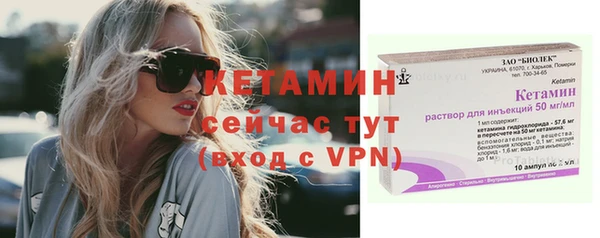 стафф Ельня