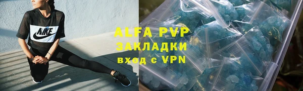 Альфа ПВП Елизово
