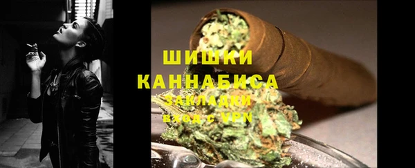 стафф Ельня