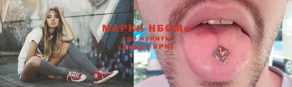 Альфа ПВП Елизово