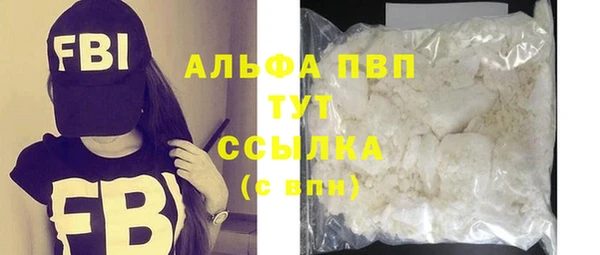 стафф Ельня