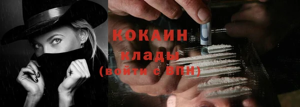 стафф Ельня