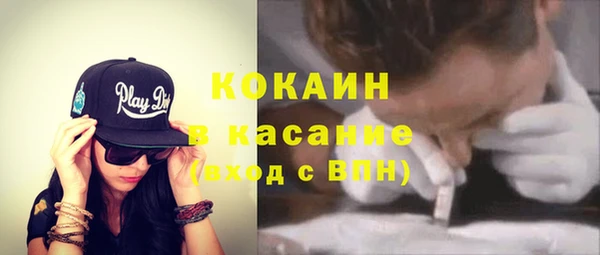 стафф Ельня