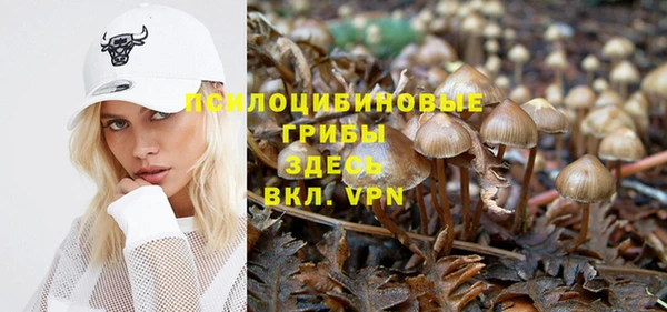 стафф Ельня