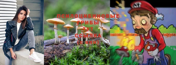 Альфа ПВП Елизово