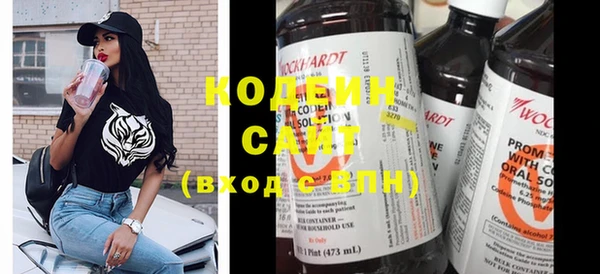 стафф Ельня