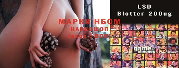Альфа ПВП Елизово