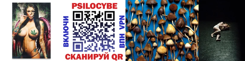 купить наркотики цена  Сенгилей  Галлюциногенные грибы мухоморы 